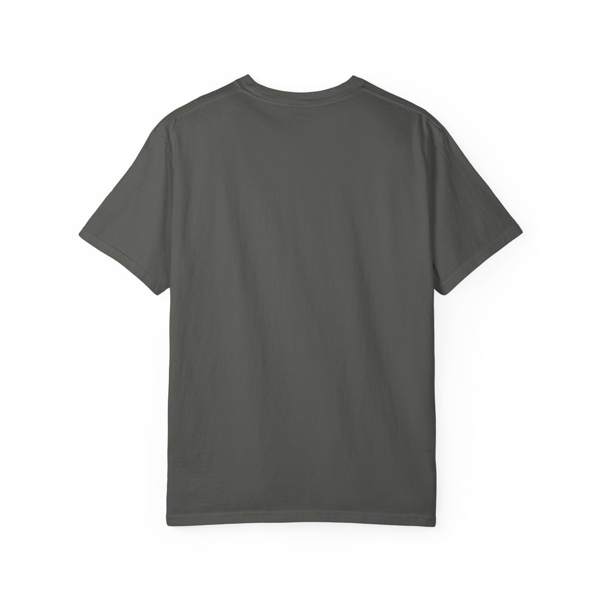 Reverse of the Mornings Are Hard garment-dyed heavyweight shirt